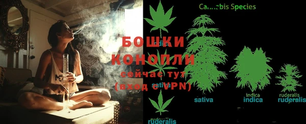 ECSTASY Балахна
