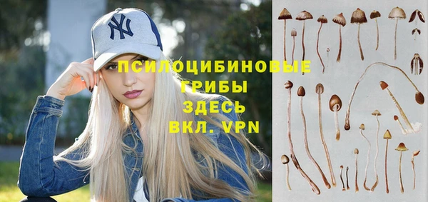 дживик Балабаново