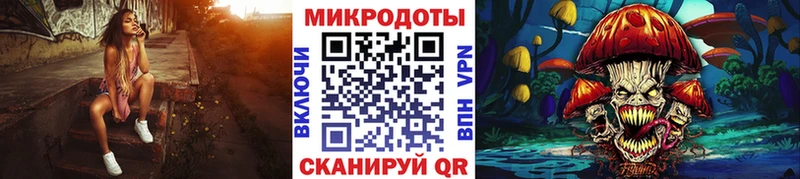 где купить наркоту  Стародуб  Псилоцибиновые грибы ЛСД 