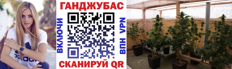 мега зеркало  Стародуб  Марихуана White Widow  где можно купить  